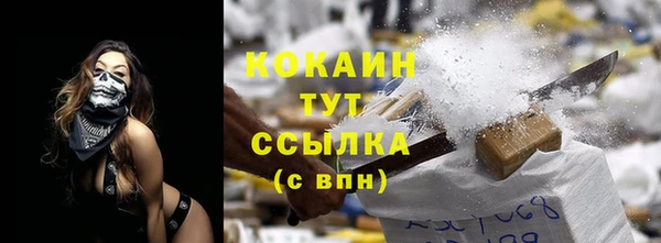 гашик Магас
