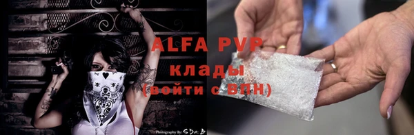 крисы Анжеро-Судженск