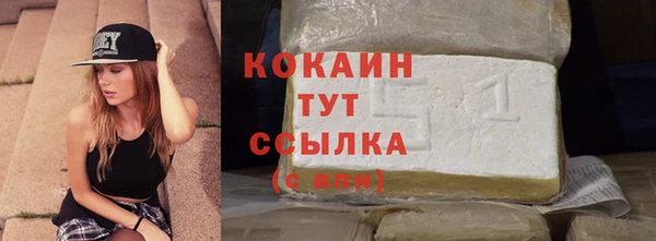 гашик Магас