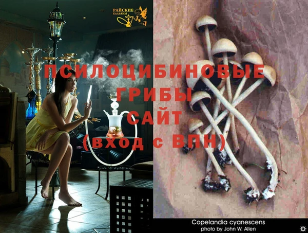 гашик Магас