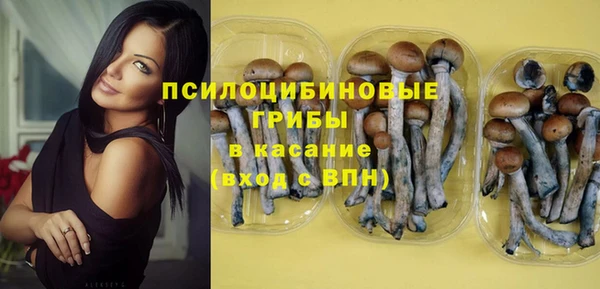 гашик Магас