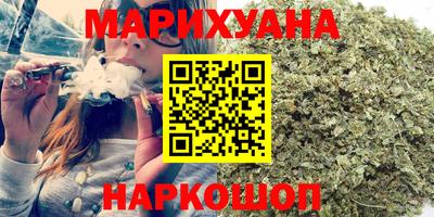 мдпв Бийск