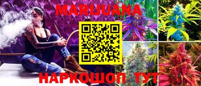 мдпв Бийск