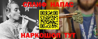 мдпв Бийск