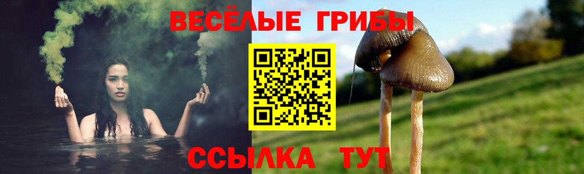 Галлюциногенные грибы мухоморы Десногорск